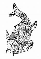 Zentangle Coloring Pages Fish Adults Adult Rachel sketch template