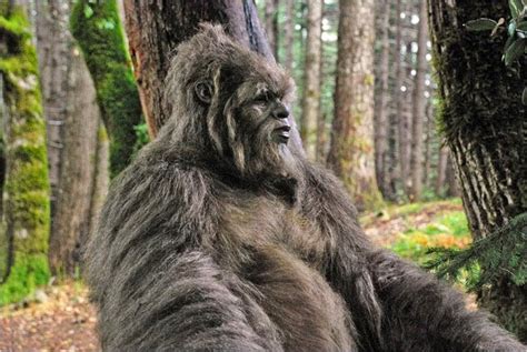 Ufo Mania Man Claims To Have Spent Hours Next To A Sasquatch