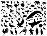 Silhouette Animal Vector Animals Icon Silhouettes Shapes Pack Clipart Graffiti Moss Cute Cartoon Eps Silhoutte  Clip Template Ants Giraffe sketch template