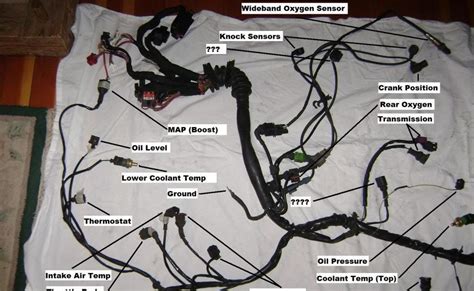 ls wiring harness diagram herbalium