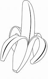 Banana Coloring Pages Color Drawing Tree Print Kids Tropical Delicious Leaf Fruits Vegetable Printable Fruit Kidsplaycolor Peeled Peel Getdrawings Getcolorings sketch template