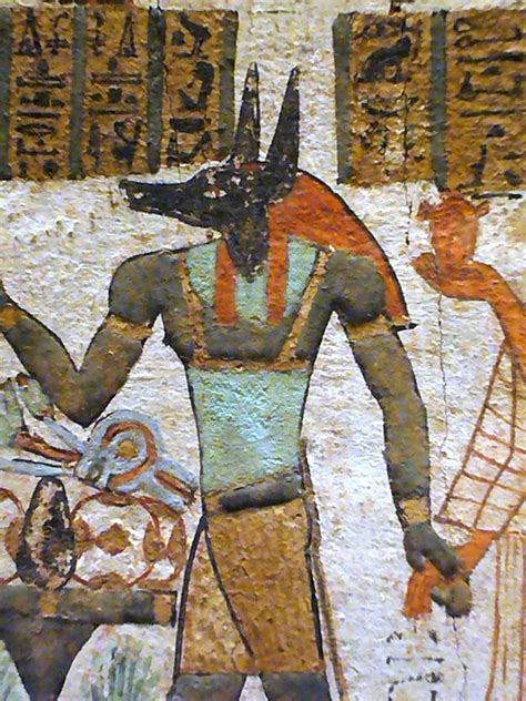 ancient egyptian art depicting anubis metropolitan museum of art ny