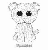 Coloring Pages Ty Beanie Boo Colouring Preschool Sheets Printable sketch template
