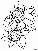 Coloring Peony Pages Flowers Flower Printable Realistic Outline Simple Ws Print Color Cartoon Patterns Camellia Clipart Sheets Becuo Coloringpagebook Popular sketch template