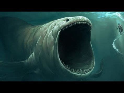 biggest animal  recorded   ocean depths video  images scary fish mythical