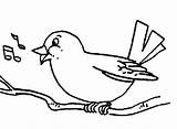 Clipart Bird Singing Birds Line Clip Cliparts Gif Library sketch template