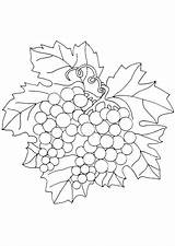 Coloring Grapes Pages Fruits Vegetables sketch template