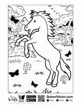 Quiver Kleurplaten Topkleurplaat Paard sketch template