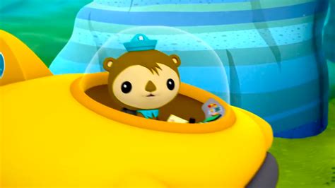 image shellingtonpng octonauts wiki fandom powered  wikia