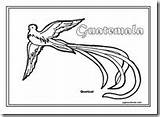 Quetzal Guatemala Jugarycolorear Patrio sketch template