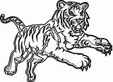 Tiger Coloring Pages Realistic Bengal Drawing Printable Color Paw Getdrawings Attack Time Getcolorings Choose Board Animals sketch template