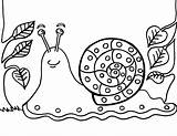 Snail Caracoles sketch template
