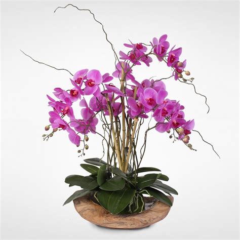 Primrue Handmade Phalaenopsis Orchids Floral Arrangement In Bowl Wayfair
