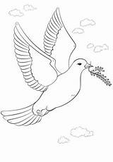 Dove Coloring Olive Branch Peace Pages Printable Crafts Doves Choose Board sketch template