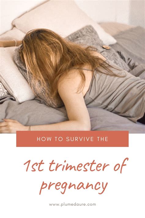 First Trimester Of Pregnancy How To Survive Plumedaure