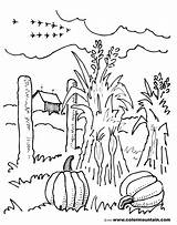Coloring Fall Pages Scenery Autumn Scene Farm Corn Drawing Stalk Field Stalks Colouring Color Getdrawings Getcolorings Arrived Just Beautiful Sheet sketch template