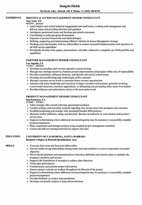 management consultant resume mckinsey  resume examples