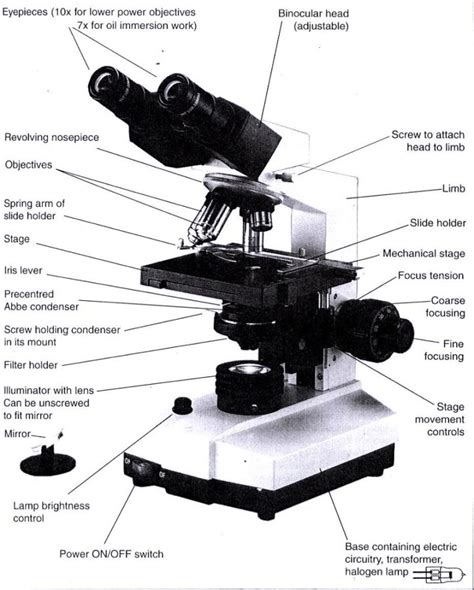 diagrams  microscope  diagrams