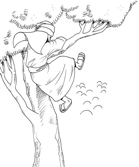 zacchaeus coloring page bible coloring pages sunday school coloring