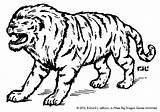 Liger Tiger Sketch Understand sketch template