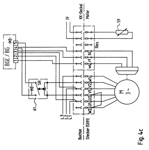 dayton electric motors wiring diagram  zookastar dayton electric motors wiring