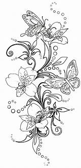 Butterfly Swirls Butterflies Swirl Metacharis Papillon Schmetterling Papillons Schmetterlinge Coloriages Ausmalen Erwachsene Lily Adultes Patrones Brandmalerei Tatouage Motyle Blumenranken Zeichnen sketch template