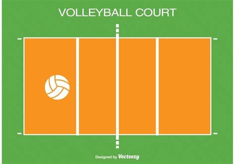 volleyball historycourtplayer positions diagram quizlet