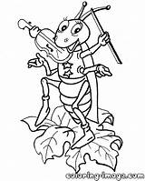 Grasshopper Coloring Pages Getcolorings Printable sketch template