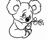 Koala Cute Drawing Coloring Pages Bear Colouring Baby Clipartmag sketch template