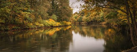 river taff   autumn colours pontcanna cardiff llandaff