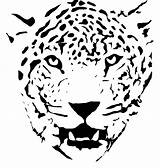 Jaguar Head Giaguaro sketch template