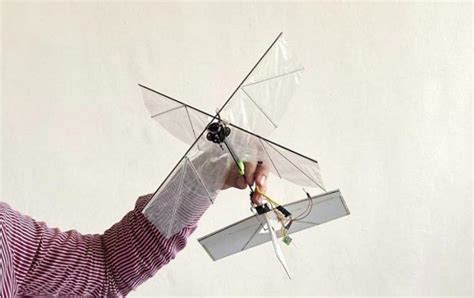 ornithopter   generation bird  drone