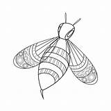 Wasp Outline sketch template