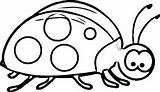 Dibujos Ladybug Mariquitas Biedronka Chachipedia Primavera Mariquita Obrazek Catarina Snails Radosna Pokoloruj Mamydzieci Insects Tylko sketch template