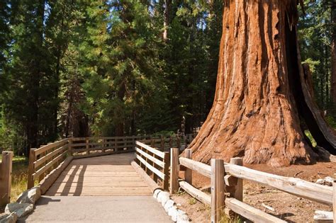 hikes  sequoia  kings canyon national parks  kids