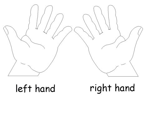 printable hands   printable hands png images