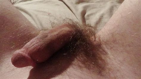 Hairy Ass And Balls 9 Pics Xhamster