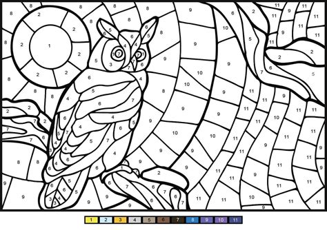 owl color  number coloring page  printable coloring pages  kids