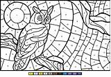 Number Color Owl Coloring Pages Printable Kids sketch template