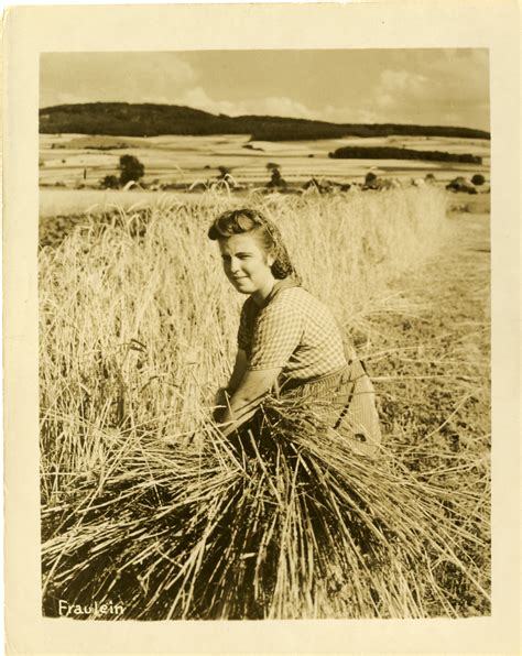 woman gathering wheat  digital collections   national wwii