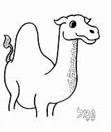 Camel Tots Torah Torahtots 2000 Inc Coloring sketch template