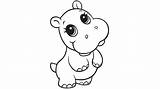 Hippo Hippopotamus Hippos Colour Cow Malvorlagen Flusspferd Prinzessin Zeichnung Nachmalen sketch template