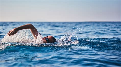 key benefits  swimming   sea sustain health magazine
