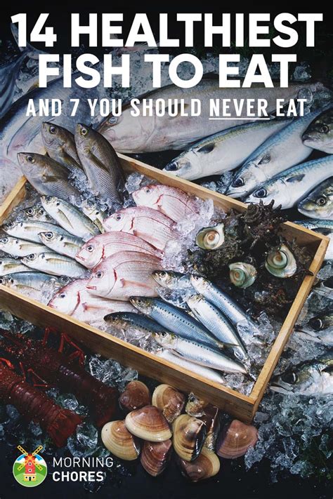 healthiest  fish  eat    absolutely steer clear