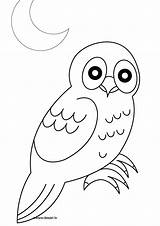 Coloring Owl Pages Naaman Chouette Dessin Owls Coloriage Printed Ready Cute Popular sketch template