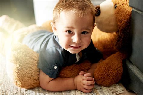 cuddly cute stock  pictures royalty  images istock