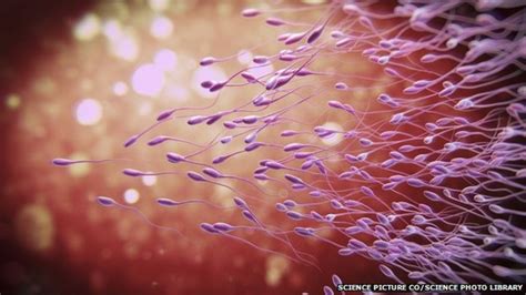 Human Sperm Swim Upstream In A Shoal Bbc News
