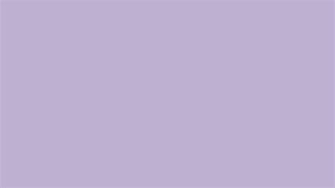 pastel lilac solid color background image  image generator