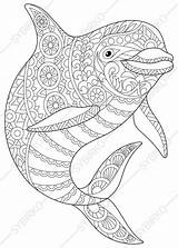 Coloring Pages Dolphin Adult Dolphins Printable Zentangle Animal Mandala Para Football Colorear Print Coloring4free Adults Mandalas Bottlenose Getcolorings Color Getdrawings sketch template