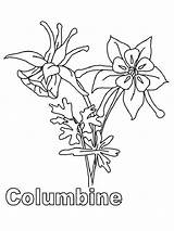 Columbine Coloring Designlooter Flower Pages sketch template